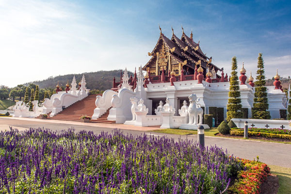 清迈鲜花节是什么时候 清迈鲜花节是几月几号