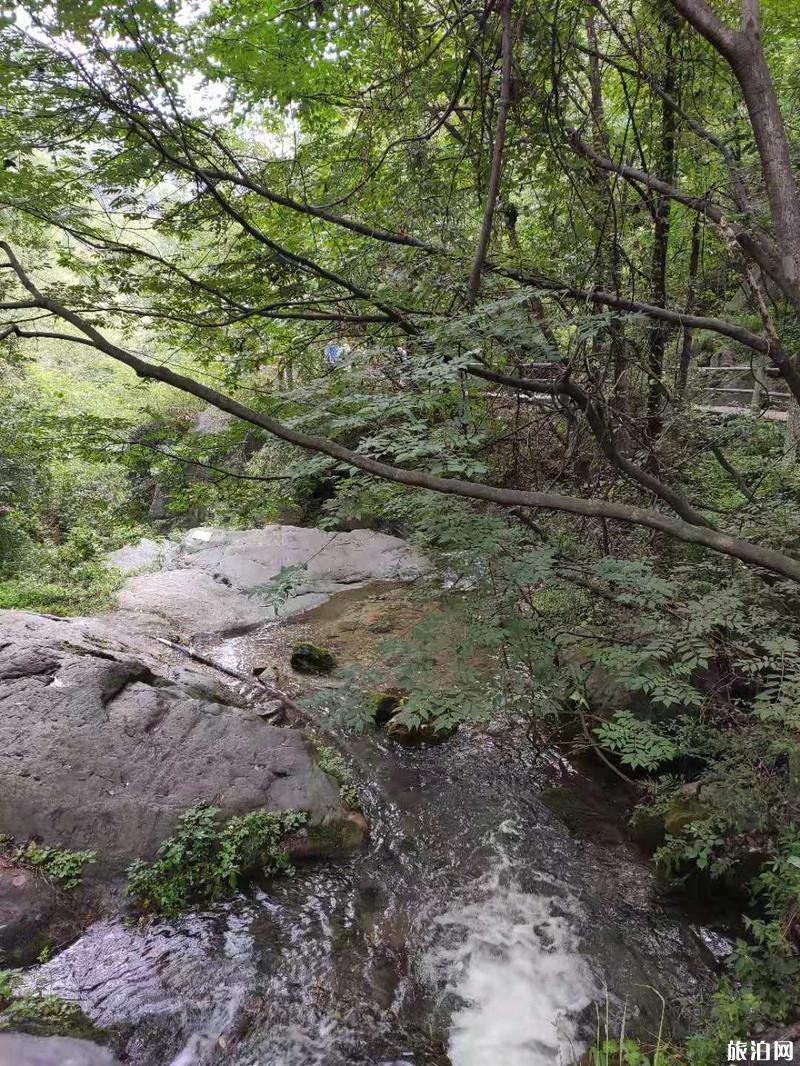 洛阳自驾游攻略三日游 洛阳自驾游攻略三日游