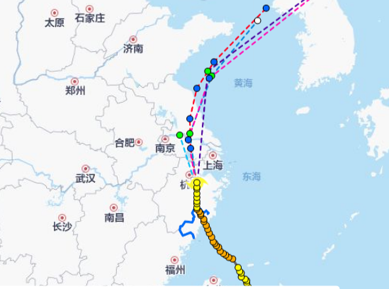 2020年8月浙江台风“狠角色”居多 1949年至今有42个台风登陆浙江