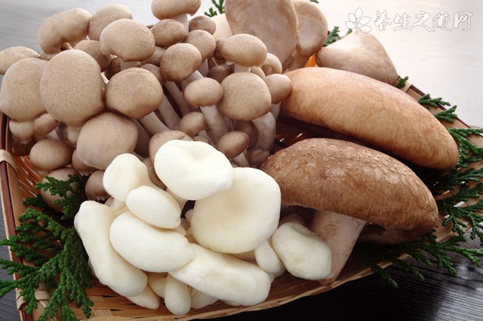 春季养生煲汤食谱