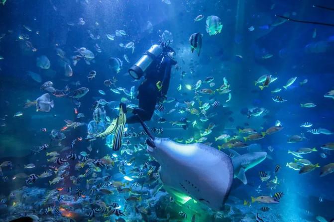 西宁童梦乐园在哪 西宁童梦乐园游玩攻略 西宁童梦乐园在哪 西宁童梦乐园游玩攻略