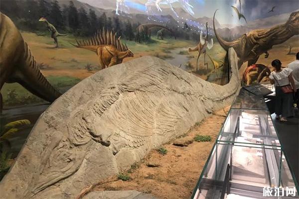 湖北宜昌博物馆新馆什么时候开放 停车+新馆介绍