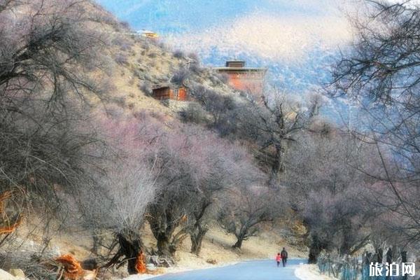 南迦巴瓦峰在哪里 南迦巴瓦峰风景介绍