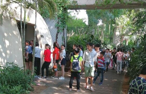 深圳清明踏青去哪里玩