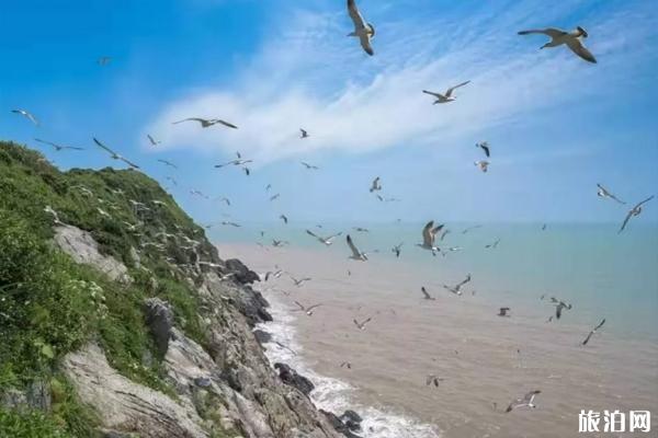 2019年8月浙江因台风关闭景点有哪些+停运航线 2019年8月浙江因台风关闭景点有哪些+停运航线