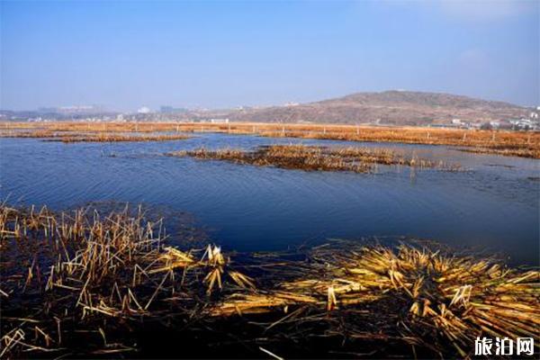 贵州威宁草海周边有哪些游玩景点