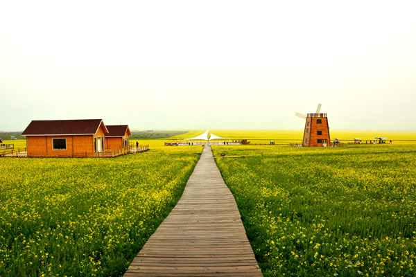 门源油菜花需要门票吗 门源油菜花交通指南