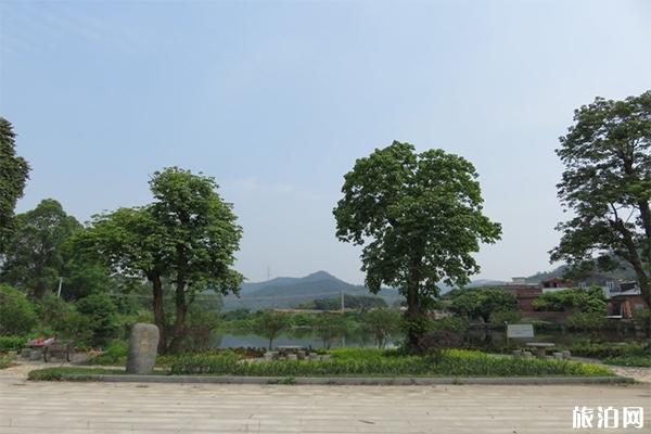 广州郊外绝美村落 适合农家乐