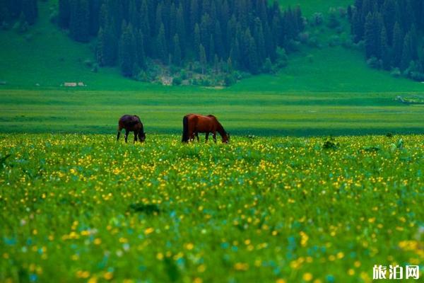 川藏线骑行要准备什么
