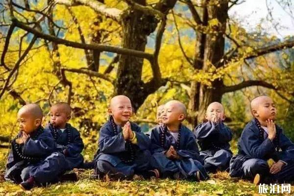 贵州秋游景点有哪些好玩的地方 贵州秋游景点有哪些好玩的地方