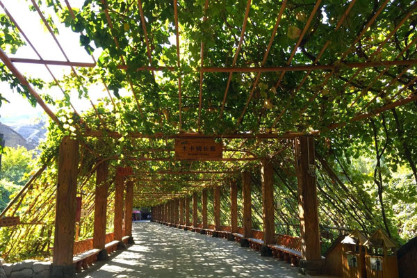 新疆旅游景点 新疆旅游景点推荐