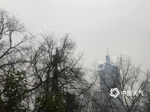 jing_副本.jpg