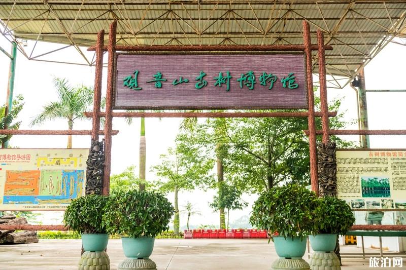 东莞观音山国家森林公园好玩吗 东莞观音山国家森林公园游玩攻略 东莞观音山国家森林公园好玩吗 东莞观音山国家森林公园游玩攻略