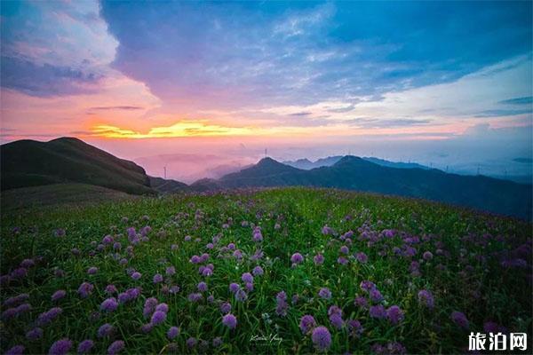 韭菜坪旅游景区免费游玩吗 自驾+停车收费+路况2019 韭菜坪旅游景区免费游玩吗 自驾+停车收费+路况2019