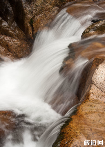 惠州必打卡的特色景点有哪些