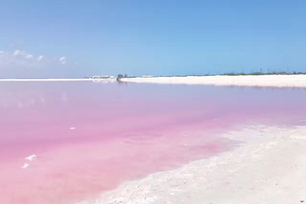 世界上唯一的粉色沙滩在哪 去粉色沙滩需要多少钱