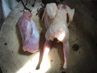 冬虫草清炖鹧鸪的做法步骤1