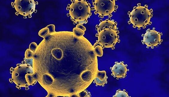 新冠病毒原子图是什么情况新冠病毒原子图长得什么样