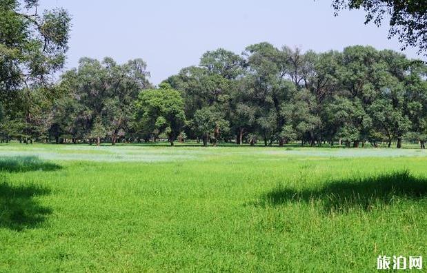 2019年8月承德适合避暑的地方吗