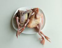 桂花熏乳鸽的做法步骤1