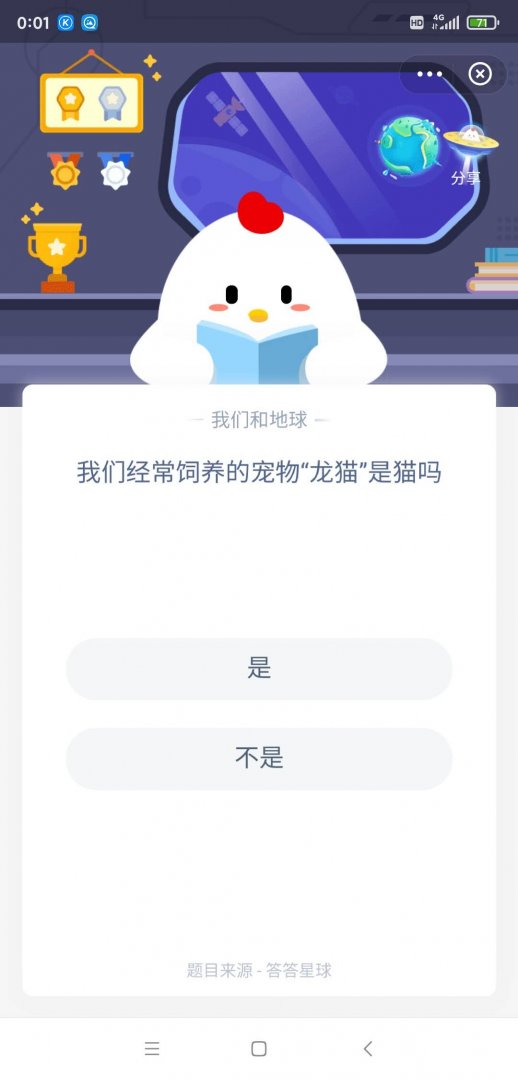 龙猫是猫吗