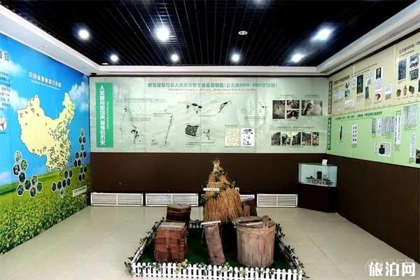 中国蜜蜂博物馆旅游攻略+地址+交通