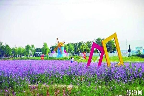 太原王吴村网红桥在哪里 太原王吴村网红桥在哪里