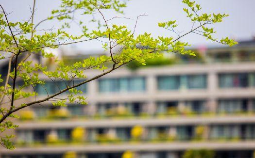 哈尔滨发布市森林火险预警 明后晴或多云天气