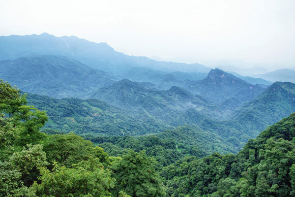 青城山最佳旅游时间 青城山门票价格