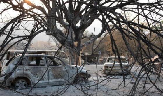 加州山火220万英亩土地被烧 8人死亡超17万户停电