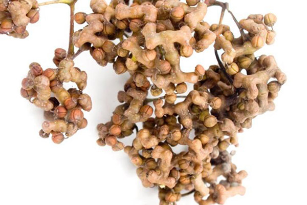 拐枣的功效与作用 拐枣有什么功效