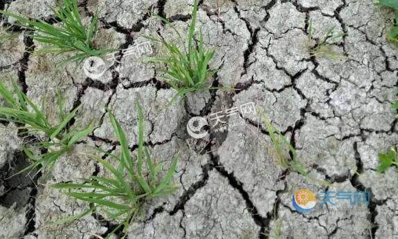 山东省气候中心：全省6月平均气温26℃为68年以来最高