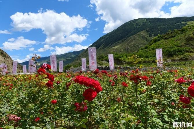 四姑娘山旅游攻略2019