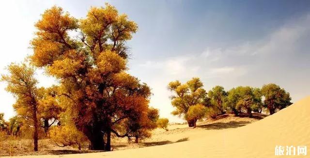 2019南疆有哪些景点+门票价格+最佳游玩时间