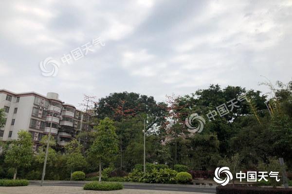 昨夜（2日）今晨，广东部分地区遭遇明显降雨，并伴有强对流天气，广州市区风雨明显。预计今天广东继续受冷空气和降雨影响，明天夜间开始雨势再度加强，中北部中到大雨局部暴雨，韶关和清远局部大暴雨，局地伴有雷电、短时强降水和冰雹等强对流天气，需注意防范。.jpg