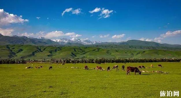 新疆旅游攻略详细版最新 新疆旅游攻略详细版最新