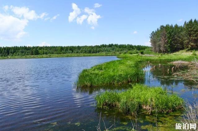 塞罕坝御道口自驾游旅游攻略