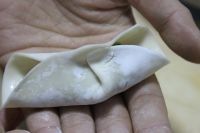 猪肉韭菜饺子的做法步骤16