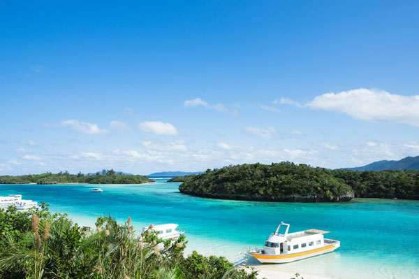 冲绳什么时候去最好 冲绳的樱花什么时候开