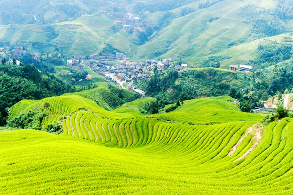 龙脊梯田什么时候去最好 龙脊梯田冬天去好看吗