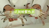 螃蟹的处理方法的做法步骤1