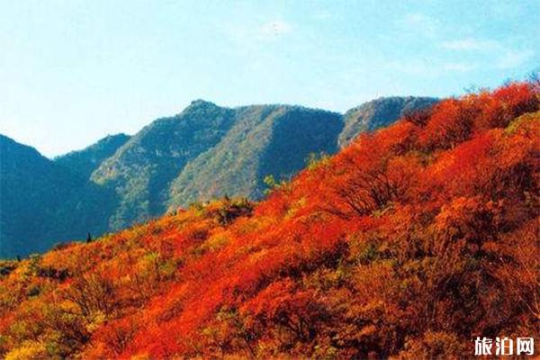 嵩山秋季红叶观赏线路攻略