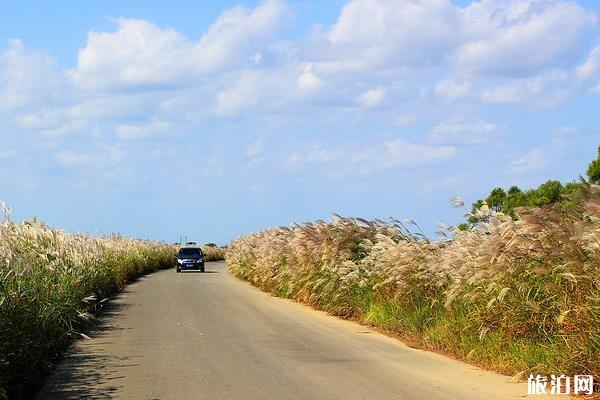 山东自驾游9日攻略 山东九日自驾游攻略