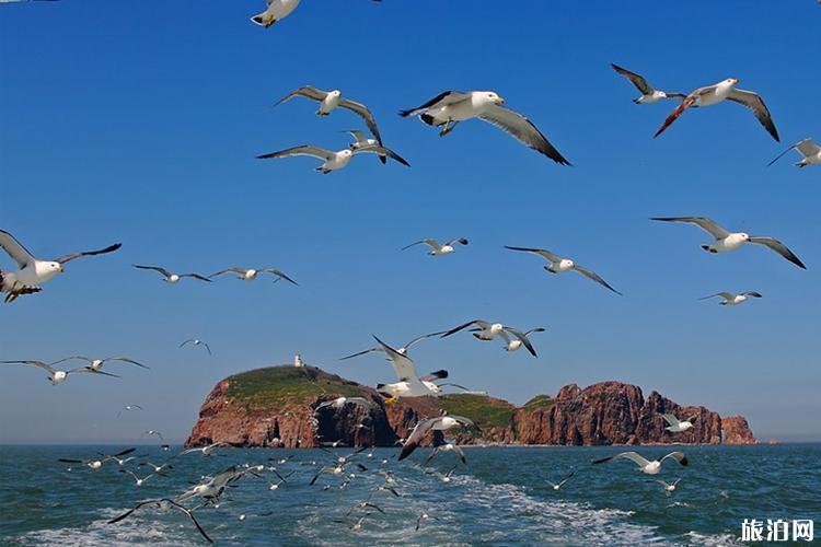 威海为什么适合亲子游