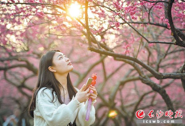 本周湖南阴雨连绵难阻升温 长沙或提前半个月入春