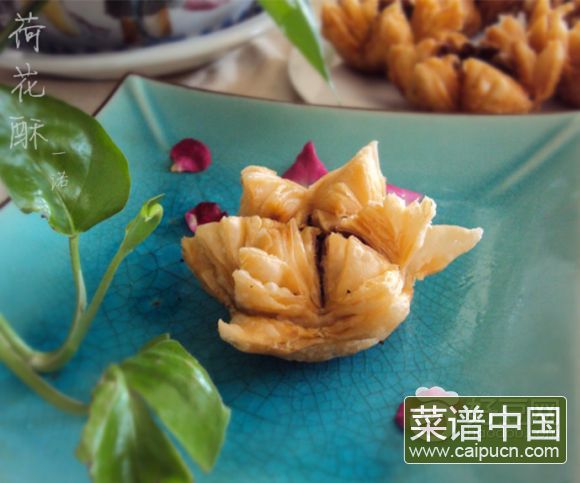 凌波仙子——荷花