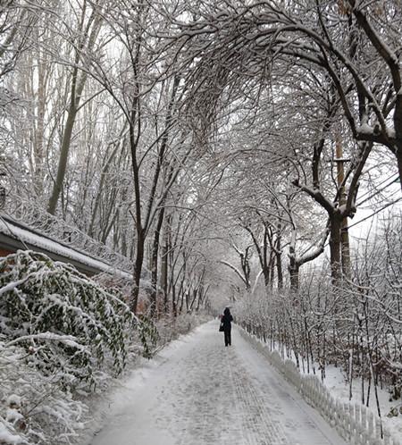 乌鲁木齐迎入冬以来最大降雪 出门要保暖