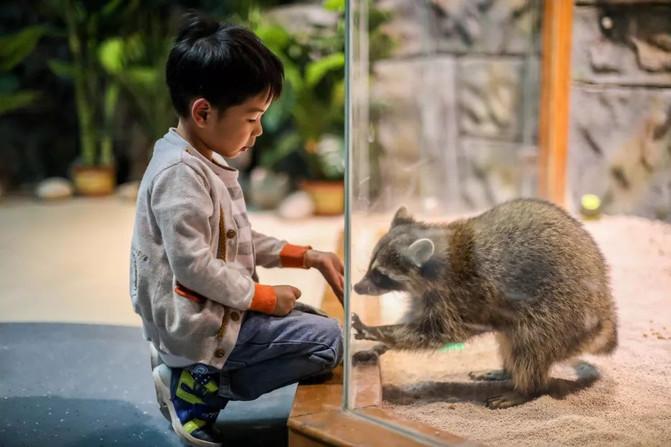 西宁童梦乐园在哪 西宁童梦乐园游玩攻略 西宁童梦乐园在哪 西宁童梦乐园游玩攻略