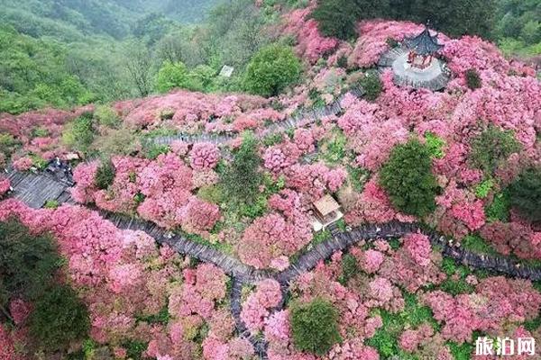 2019北京世园会10月21日再次对外开放 2019北京世园会时间到什么时候止+开放区域+门票