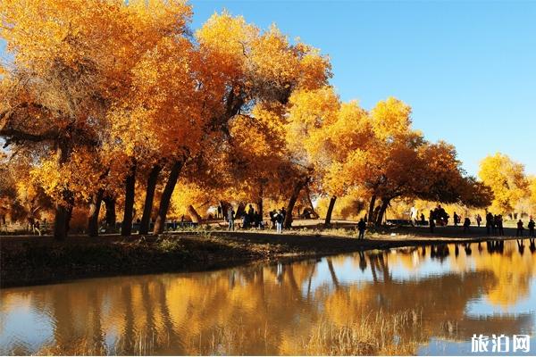额济纳旗看胡杨林最佳时间+穿衣指南 额济纳旗看胡杨林最佳时间+穿衣指南